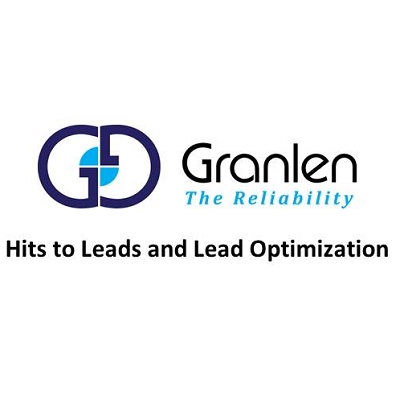 Hit to Lead and Lead Optimization